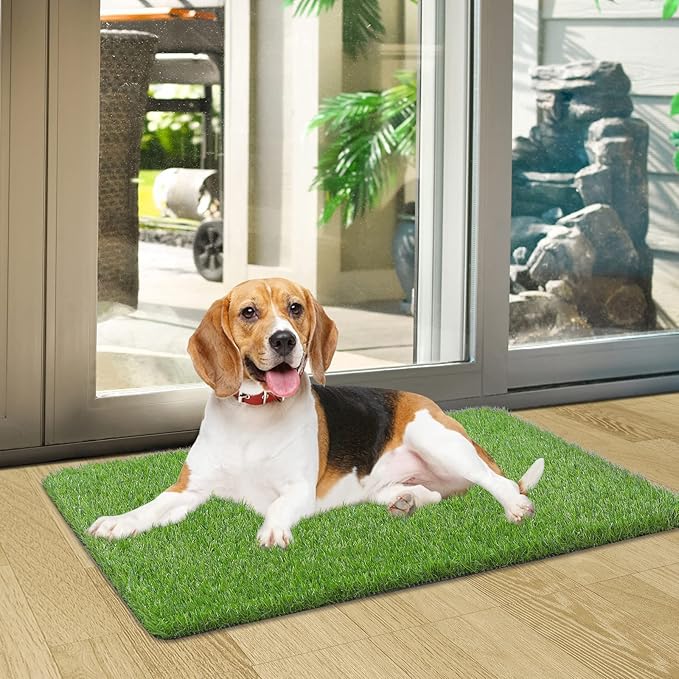 Artificial Grass Door Mat, Turf Grass Front Door Mats Outdoor/Indoor, Realistic Fake Grass Rug for Entrance, Dog, Patio, Camper, Home Decor, 17” x 30”