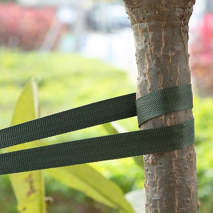 Shappy Tree Tie Strap Garden Webbing Strap Garden Plant Supports Tree Tie Staking for Outdoor Use, Plant Supports, Grafting, Straightening Supplies(Dark Green,295 Feet x 1 Inch)