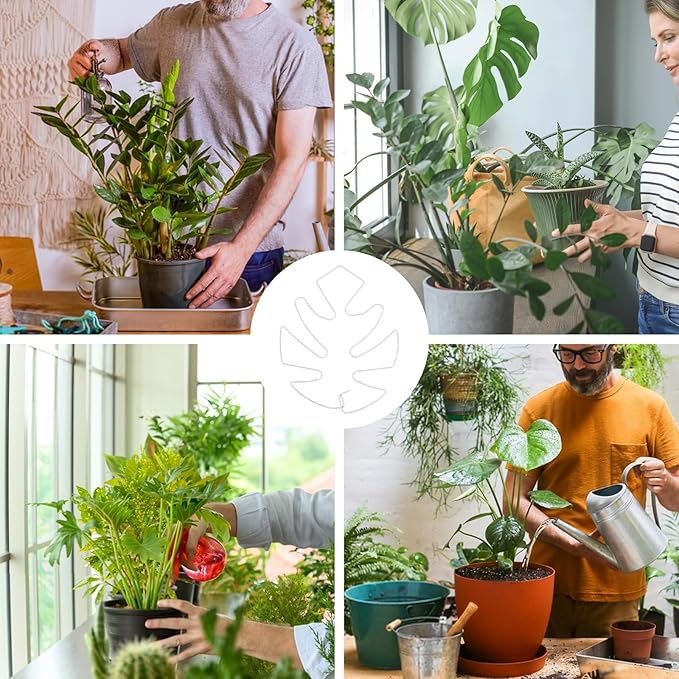 5 PCS Plant Stem Holder Support Turtle Shell Bamboo Clam Set for Climbing Plants Indoor Monstera Leaf Plant Support Accessories for Outdoor Gardens Keeps Plants Thriving Growth (White)