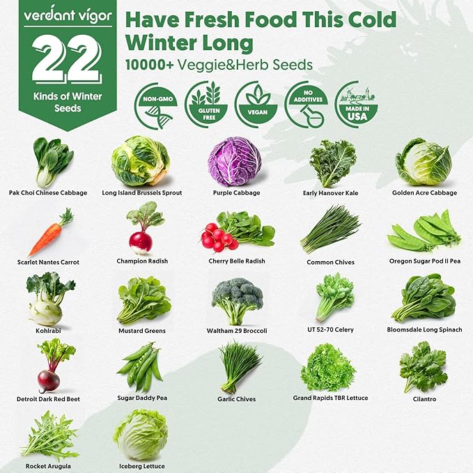 22 Winter Seeds Variety Pack for Planting, Over 10,000 Vegetable Seeds, USA Grown, Heirloom, Non-GMO, for Indoor Outdoor Gardening, Lettuce, Kale, Kohlrabi, Broccoli, Spinach, Carrot and More