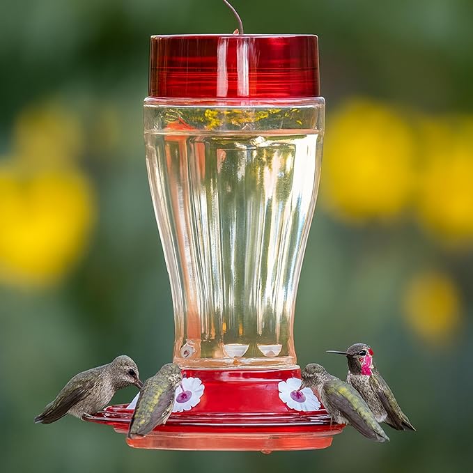 More Birds Bird Health+ Big Gulp Hummingbird Feeder, Glass Hummingbird Feeders for Outdoors, 5 Feeding Stations, 40 Ounces