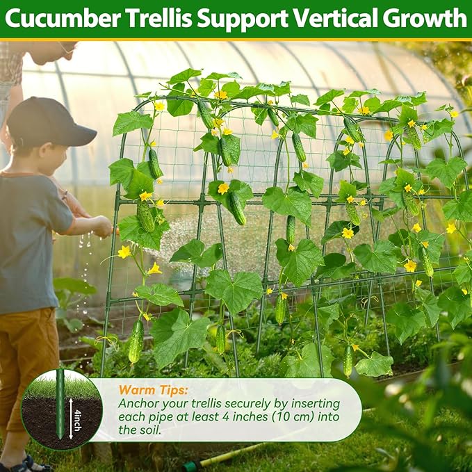 Garden Cucumber Trellis for Climbing Plants Outdoor- 66x48 Inch U-Shaped Cucumber Trellis for Raised Bed, Metal Arch Plant Trellis for Outdoor Vegetable Grape Pea Bean Vine Squash
