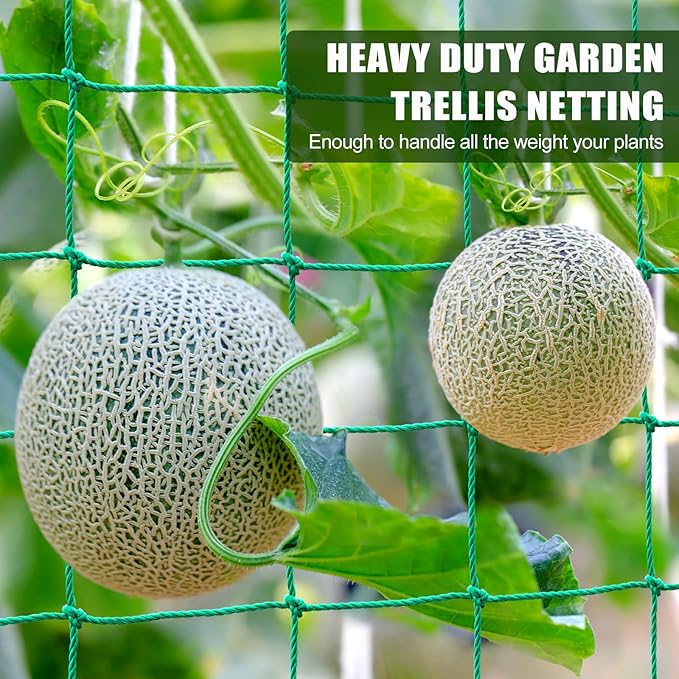 Trellis Netting, Garden Trellis Netting for Climbing Plants, 16.5x6.6Ft Plant Netting for Cucumber, Tomato, 27 Strands Nylon & 4x4 Inch Mesh, Grow Net for Vines, Fruits, Vegetables, Grapes, Beans,Peas