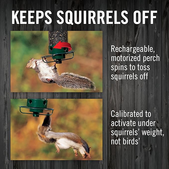 Droll Yankees Squirrel Proof Bird Feeders for Outdoors - YF-M - Flipper, Collapsible Perches, 5-Pound Seed Capacity, Green