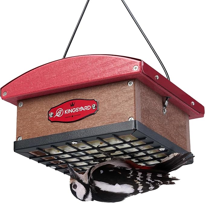 Kingsyard Upgraded Upside Down Double Suet Feeder with Metal Weatherproof Roof, Squirrel-Proof Metal Edging, Suet Feeders for Outside Hanging, Great for Attracting Woodpecker, Nuthatch, Titmouse
