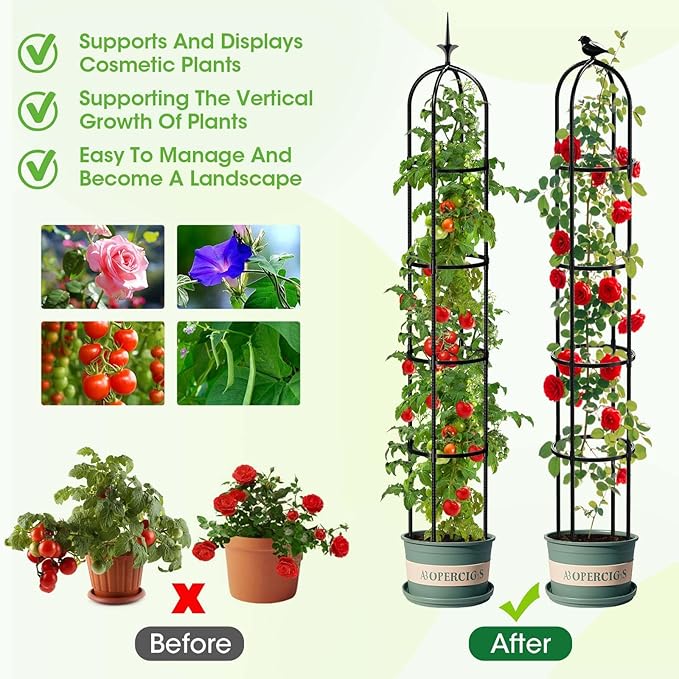 6.2ft Garden Obelisk Trellis for Climbing Plants Rustproof Metal Pipe with Heavy Duty Plastic Coated Garden Outdoor Indoor Potted Plant Support for Clematis Vine Jasmine Support (Black, 6.3 Ft(2 Pcs))