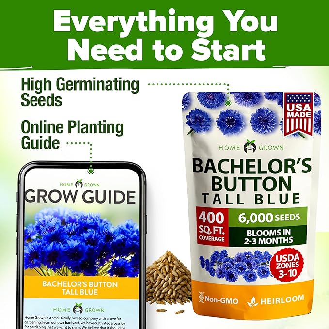 HOME GROWN Bachelor Button Seeds Tall Blue - 6000 Cornflower, Stunning Blue Blooms for Wildflower Gardens, Non-GMO Flowers & Pollinator-Friendly Spaces, Low Maintenance Flower Seeds (Centaurea cyanus)