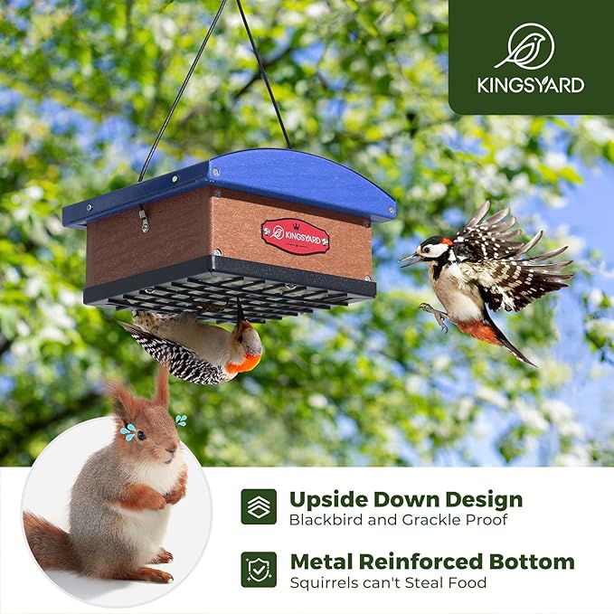 Kingsyard Upgraded Upside Down Double Suet Feeder with Metal Weatherproof Roof, Squirrel-Proof Metal Edging, Suet Feeders for Outside Hanging, Great for Attracting Woodpecker, Nuthatch, Titmouse