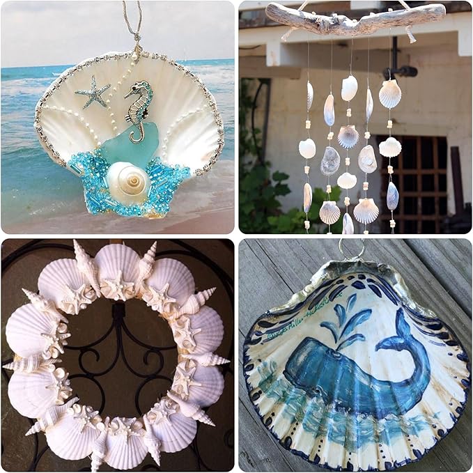 10PCS Large Natural Scallop Shells, 4''-5'' Large Shell for Crafts, DIY Painting, Baking and Beach Wedding Decorations - Large White Seashells Bulk for Ocean Themed Parties and Home Decor