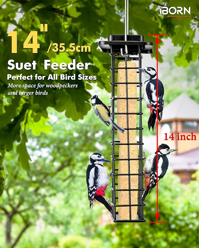iBorn Metal Double Suet Feeder,Durable Suet Cake Cage Bird Feeder for Outdoors Hanging，Metal Roof Bird Feeder with Taller Grid for Woodpeckers,Large Suet Holder,Easy Clean & Refill,1 Pack,Black