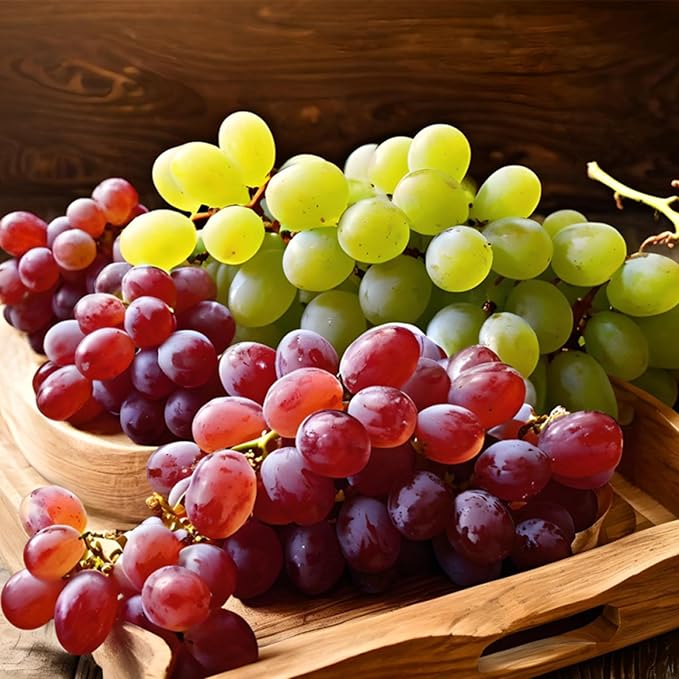 1000+pcs Mixed Berry Seeds Kit for Planting (Grapes, Strawberries, Blueberries, Raspberries Seed Pack), Non-GMO Perennial Fruits Seeds, Home Garden Plants for Outdoors