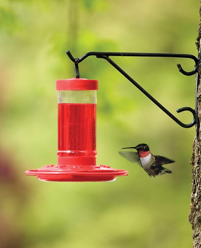 First Nature 993051-546 16 oz. Hummingbird Feeder, Red