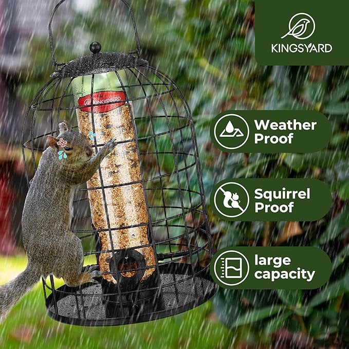 Kingsyard Metal Bird Feeder for Outdoors, Squirrel Proof Caged Tube Feeders Hanging Green, Wild Small Birds Rainproof Station for Garden Yard Seed Easy Clean, Black