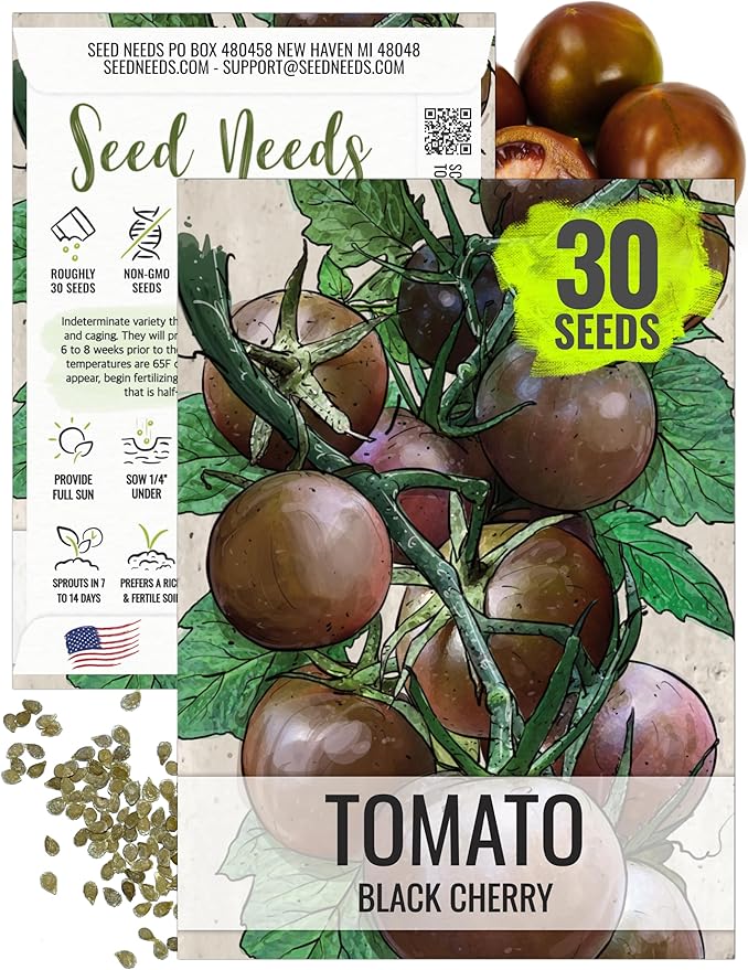 Seed Needs Tomato Seeds for Planting Black Cherry Tomatoes - Non-GMO Heirloom & Untreated Indeterminate Variety to Plant a Home Grown Outdoor Vegetable Garden (1 Pack)