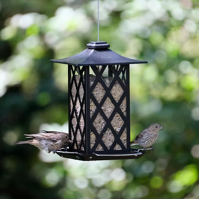 Nature's Way Outdoor Garden Décor Hanging Wild Bird Seed Feeder, Metal Lantern Gazebo Feeder, Easy Fill, Rain Drainage, Black