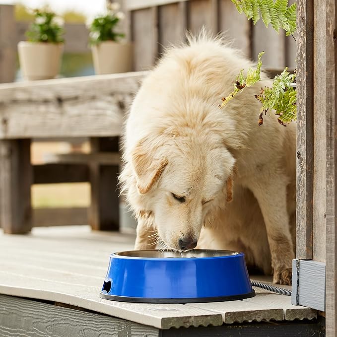Farm Innovators Heated Pet Water Bowl, 40W Heated Water Dish - 3 Quart Stainless Steel Watering Station with Anti-Chew Cord Protector for Dogs & Cats