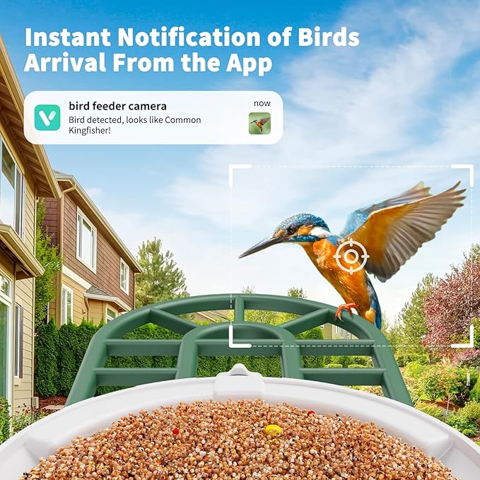 Bird Feeder with Camera with AI Identify Birds Species Solar Powered, Smart Bird House with Cam, 2K HD Video Live Stream, Instant Arrival Alerts - Green