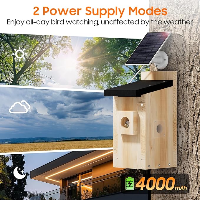 Bird House with Camera Solar Powered,5MP HD Smart Bird Watching Camera for Birdhouse,2.4G WiFi Nesting Box for Bluebird,Identify Behavior,App Control,32 SD Storage,Ideal Gift for Bird Lovers