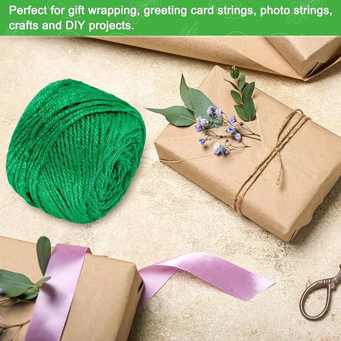 1-Pack Natural Jute Twine String, 3mm x 328ft/100m Long Garden Twine Balls for Crafts/Gift Wrapping/Gardening Plants, Durable Plant Ties Thick Rope [Green]