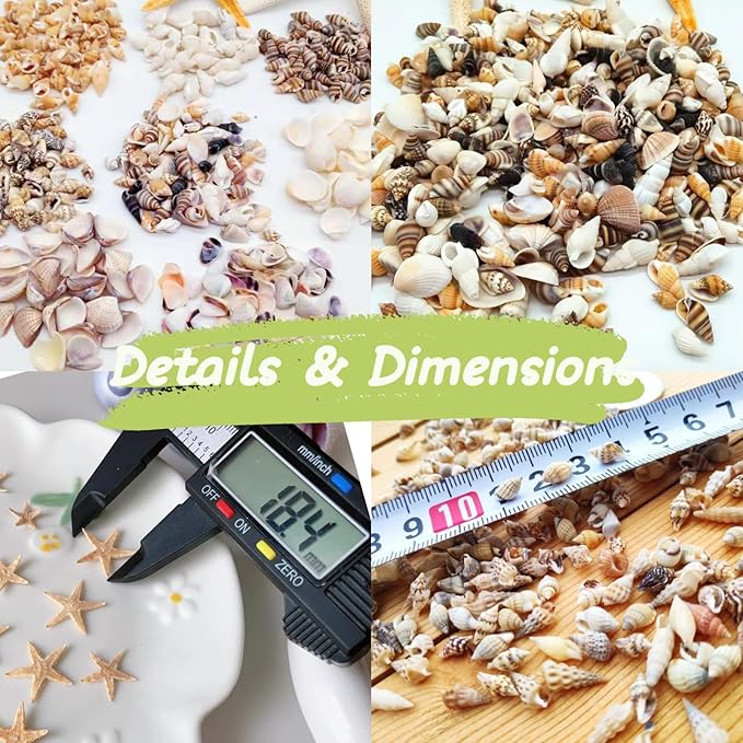1200 PCS Tiny Sea Shells &10 Small Starfish - Mixed Ocean Beach Spiral Seashells for Fish Tank and Vase Filler, Beach Theme Party, Wedding Decor - DIY Craft Supplies