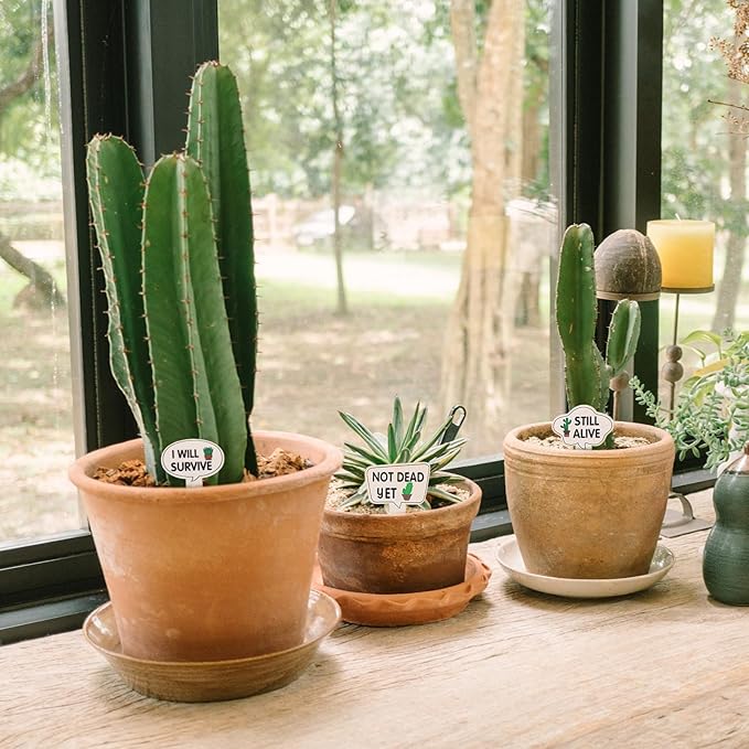 15 Pcs Garden Plant Markers, Plant Labels Funny Plant Stakes, Wooden Plant Labels Tab Plant Signs, for Indoor Plants Outdoor Garden Potted Plant Novelty Gifts