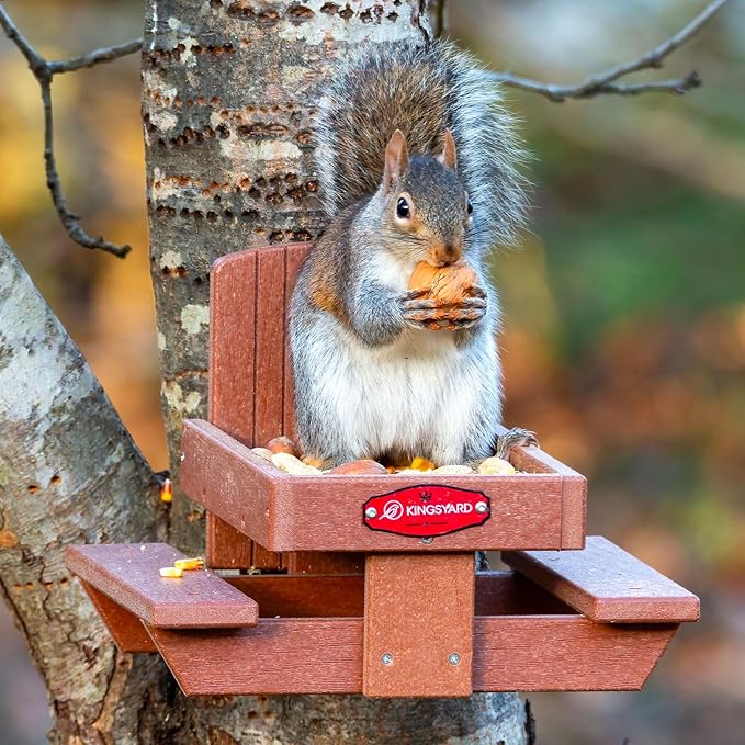Kingsyard Squirrel Feeder Table for Outside, Recycled Plastic Squirrel & Chipmunk Picnic Table Feeder with Corn Cob Holder, 2 x Solid Structure Benches, Easy to Clean (Brown)