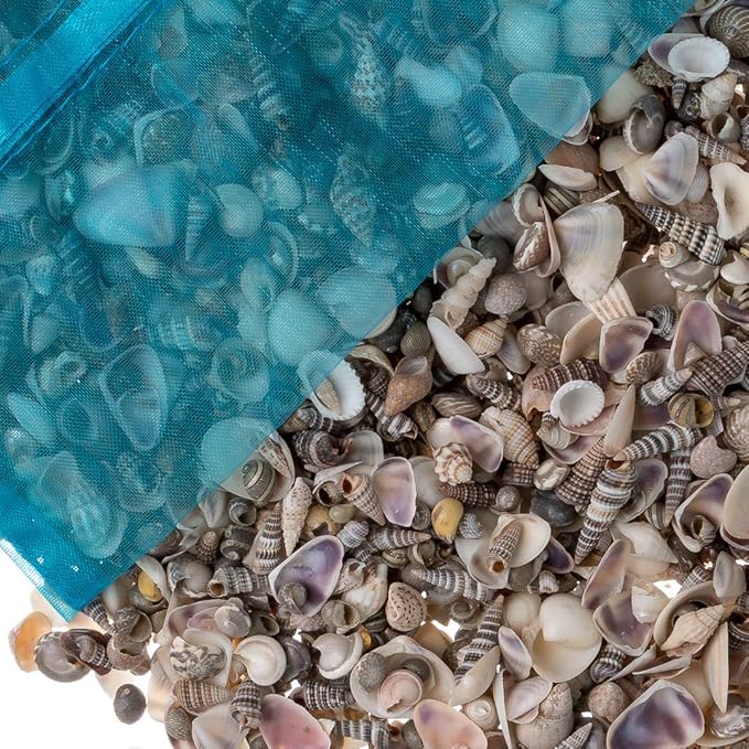 Tiny Miniature Fairy Garden Sea Shell Assorted Mix | Tiny Small Sea Shells for Craft and Decoration | Plus Free Nautical Ebook by Joseph Rains (16 Ounces, 1,500+)