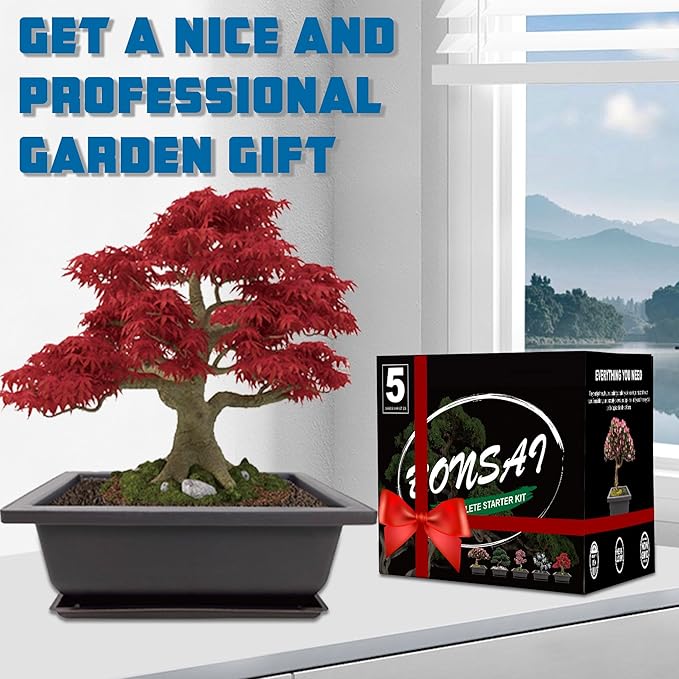 Bonsai Starter Kit, 5 Seeds Growing into Acacia, Wisteria, Sakura, Red Maple and Black Pine, Including Complete Gardening Tools with A Gift Box for Men Women Beginners