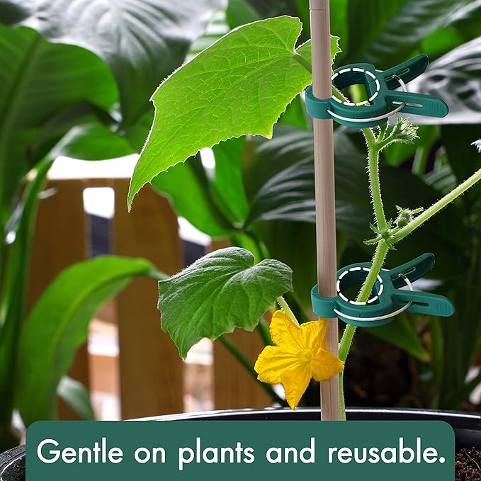 Gardzen 48 Pcs Garden Plant Clips, Plant Support Clips for Securing Stems, Flowers or Climbing Vines to Tomato Cages, Trellis