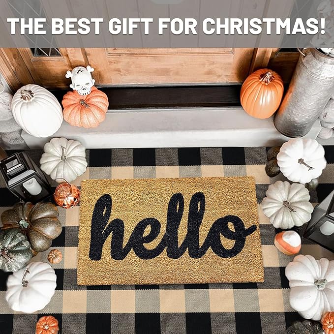 IOHOUZE Buffalo Plaid Checkered Rug 4x6 Ft Front Door Mats, Washable Area Rugs for Front Porch, Welcome Mats Indoor Outdoor, Entryway Rug for Entryway, Home Entrance, Tan Black