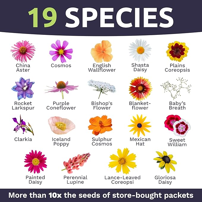 Cut Flower Garden Seeds - Extra Large 1 Ounce Packet - Over 7,500 Fresh Open Pollinated Non-GMO Wildflower Seeds - Long Lasting Annuals and Perennials with Bright Colors