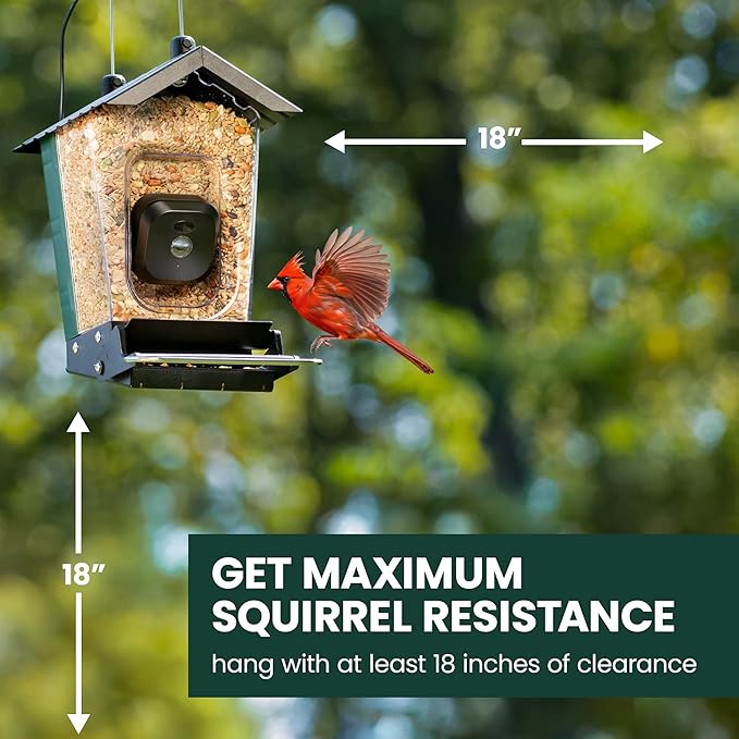 Perky-Pet Solar Powered Smart Bird Feeder with Camera - Squirrel-Resistant, 3.2L Capacity, Motion Activated 1080p HD WiFi Live Stream Camera, SPCAM, SPCAMSLR - Camera Feeder Gift Idea, Yellow