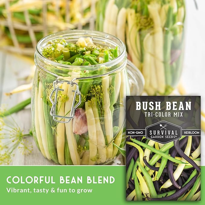 Survival Garden Seeds - Tri-Color Bean Seed for Planting - 5 Packs with Instructions to Plant and Grow Yellow, Purple, and Green Bush Beans in Your Home Vegetable Garden - Non-GMO Heirloom Variety
