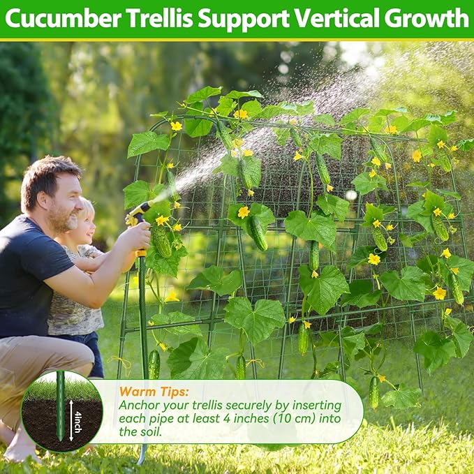 Garden Cucumber Trellis for Climbing Plants Outdoor- 50x48 Inch U-Shaped Cucumber Trellis for Raised Bed, Metal Arch Plant Trellis for Outdoor Vegetable Grape Pea Bean Vine Squash
