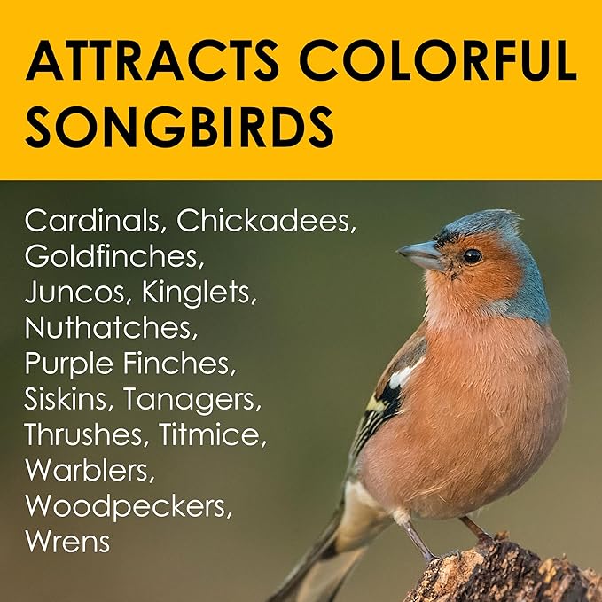 Heath Outdoor Products Birds DD4-10 All Season High Energy Suet Cake,(Pack of 20)