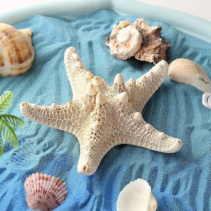 Desktop Zen Garden Kit -Ocean Themed Zen Decor Sand,Natural Shells Starfish Conch, Mermaid Resin Summer Beach Desktop Decorations,Zen Office Desktop Decoration Gift(Blue)