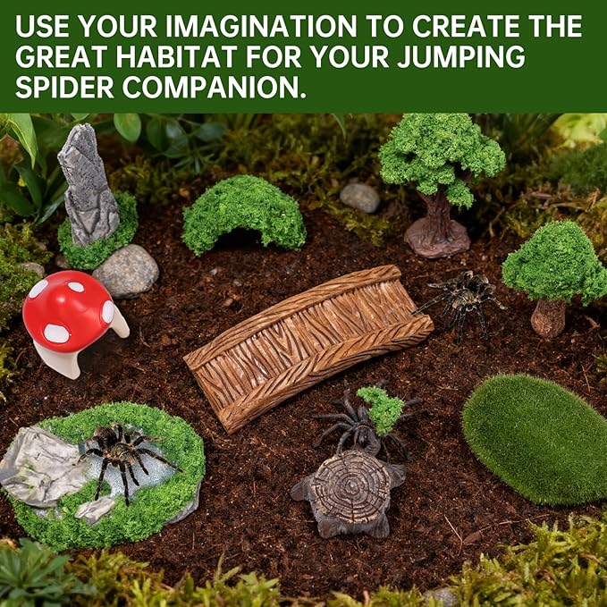 15 Pcs Jumping Spiders Hide Accessories, Jumping Spider Bridge Web Net, Mini Mountain Pond Trees Lawn Figurines Garden Mushroom Platform Decorations for Jumpings Spider Habitat Tank Enclosure Decor