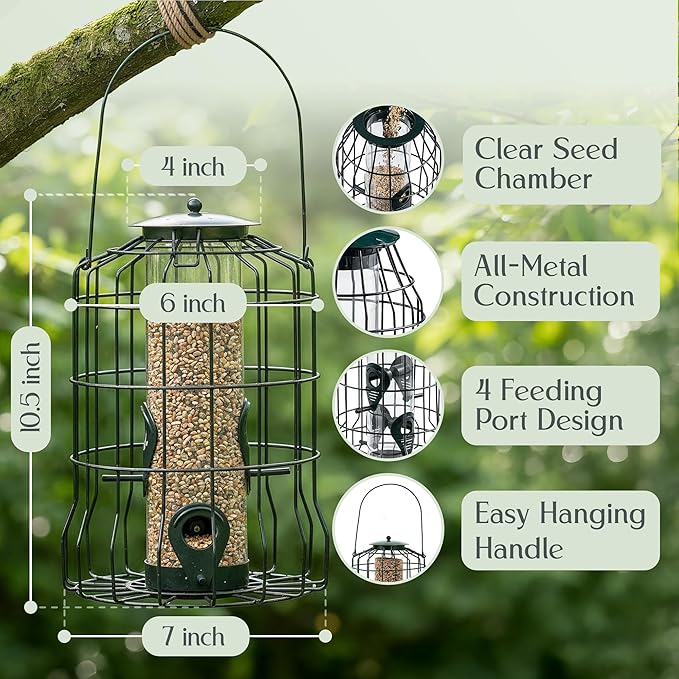 Hearts&Birds Squirrel Proof Bird Feeder Outdoors Hanging with Anti Collision Window Stickers for Birds - 360° Feeding Perch with Large Capacity for Wren Finches Chickadees Cardinal Wild Birds
