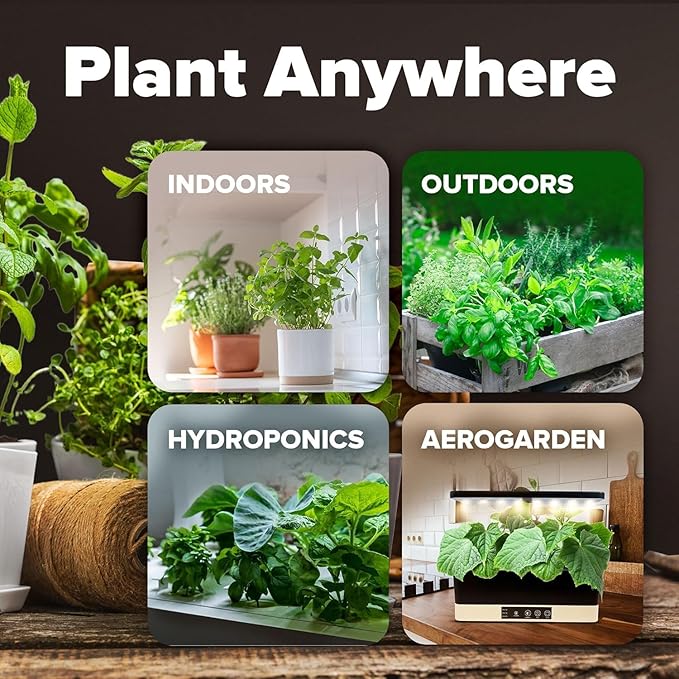 HOME GROWN 15 Variety Survival Seed Vault 7,000+ Heirloom Non-GMO Vegetable Seeds for Planting, High Germination, Complete Garden Starter Kit, Prepper Survival Gear, Indoor Outdoor