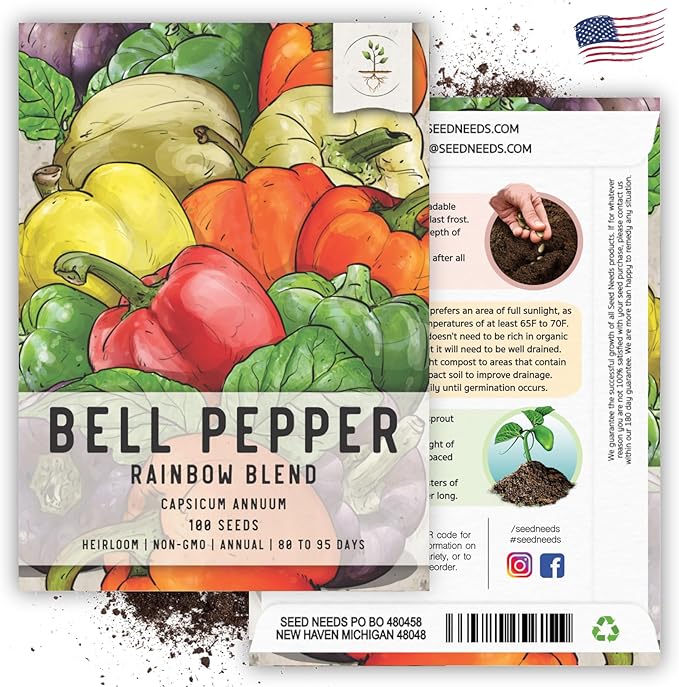 Seed Needs Rainbow Bell Pepper Seeds for Planting Mild Peppers - Non-GMO Heirloom & Untreated Veggie Seed to Plant a Home Grown Outdoor Vegetable Garden (5 Packs)