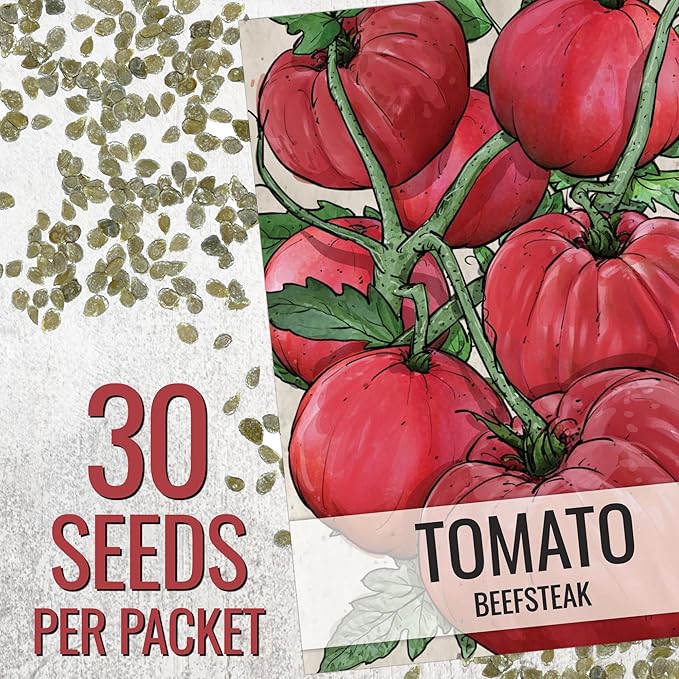 Seed Needs Beefsteak Tomato Seeds for Planting Indeterminate Tomatoes - Non-GMO Heirloom & Untreated Vegetable Seed to Plant a Home Grown Outdoor Veggie Garden (2 Packs)