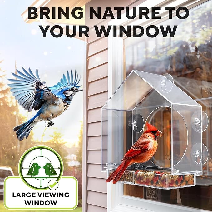 Premium Window Bird Feeder for Outside - Clear Bird House w/Largest Window for Viewing Birds - Easy to Install & Sturdy Feeder w/Extra Strong Suction Cups - Perfect for Kids, Adults and Cats