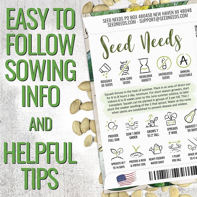 Seed Needs Zucchini Seeds for Planting Black Beauty Summer Squash - Non-GMO, Heirloom & Untreated - Prolific Yields of Delicious Zucchinis in a Home Grown Outdoor Vegetable Garden (5 Packs)
