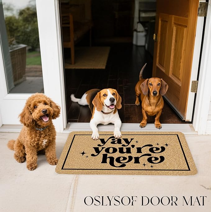 Funny Coir Door Mat, Yay You're Here Doormat for Front Door Indoor Outdoor Porch Entrance Entryway, Funny Welcome Mat Outside, 17x30 Inches