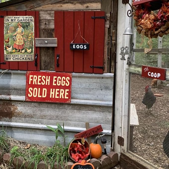 Chicken Coop Decor Garden Signs Themed Gifts For Women Metal Signs For Outside Personalized Signs For Outdoor Chicken Coop Accessories Gardening Stuff I Just Want To Work In My Garden And Hang Out With My Chickens Sign Gifts 8x12 In