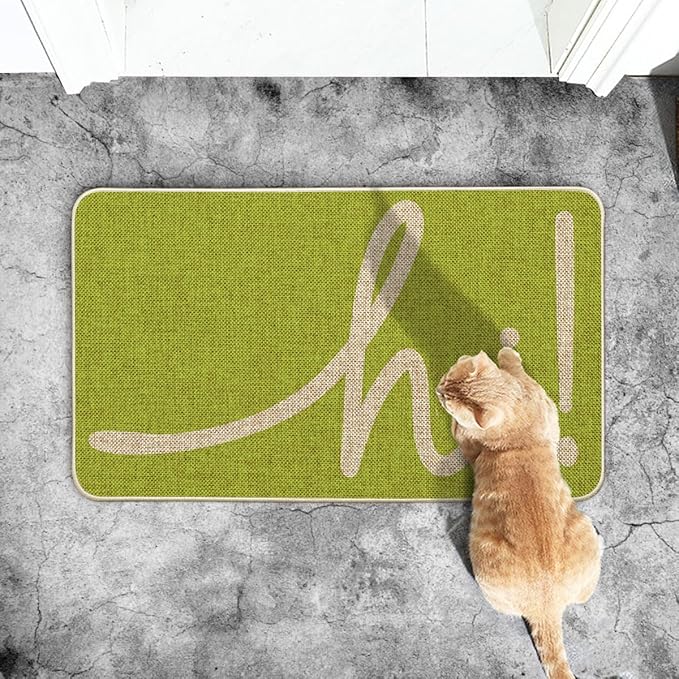 Artoid Mode Green Hi Doormat, Home Spring Summer Decor Switch Rug Welcome Door Mat Floor Mat 17x29 Inch