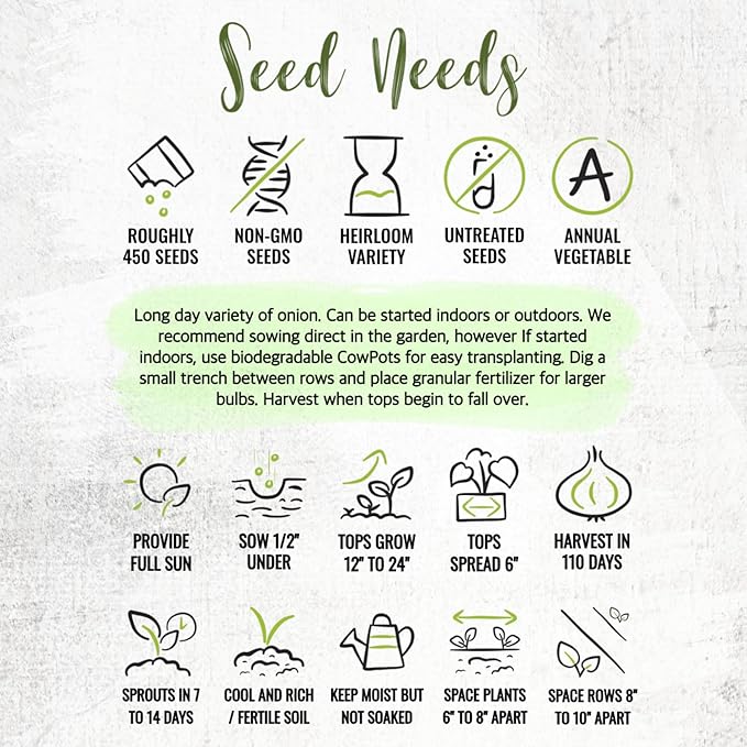 Seed Needs Onion Seeds for Planting White Sweet Spanish Long Day Onions - Non-GMO Heirloom & Untreated Vegetable Seeds to Plant an Outdoor Home Grown Veggie Garden (2 Packs)