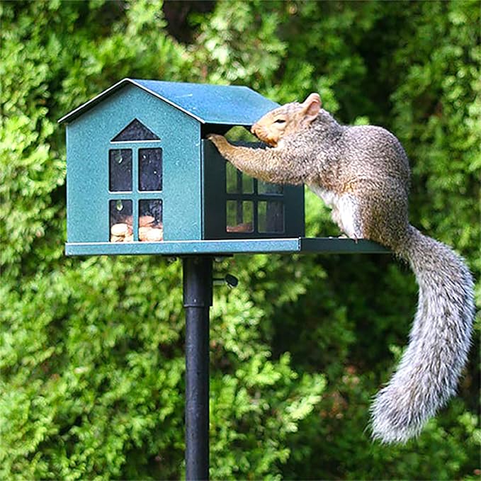 Erva Peanut Pantry Squirrel Feeder - Heavy Duty Steel - Premium Verdigris Finish - Made in USA (SQF1)
