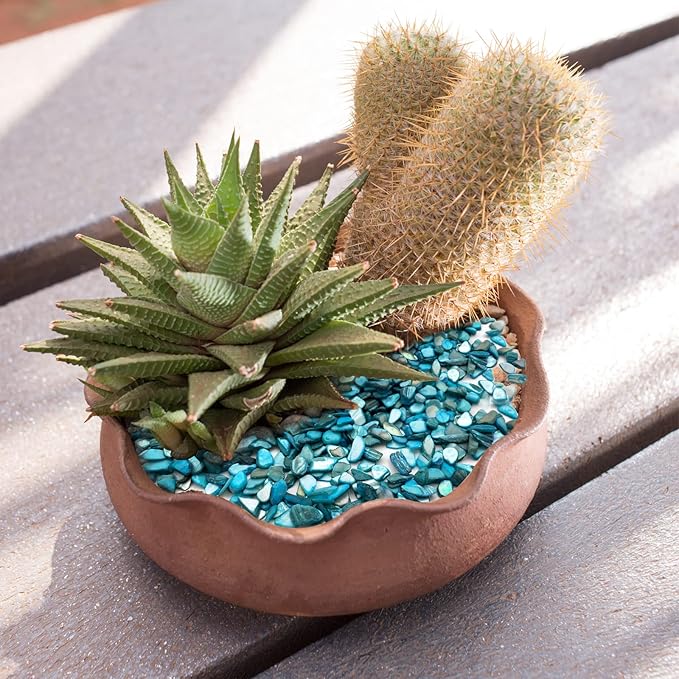 Crushed Shells for Crafts, Sea Shells for DIY Art, Vase Fillers Table Scatter, Party Favor, Wedding Decoration, Succulents Plants Soil Cover, Art Crafts