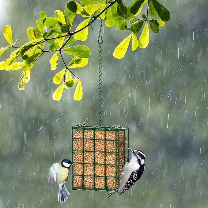Bird Feeder for Outdoors, Large Capacity Suet Feeder Hanging Birdfeeder, 2 Slices Suet Cake Feeders fo Attracting Birds - Bird Feeder Hanging for Garden Yard Outside